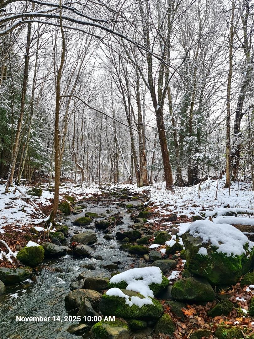 742 Highland Avenue Newport, VT 05855 - Photo 59 of 60