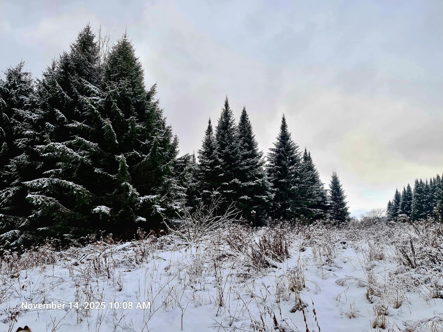 742 Highland Avenue Newport, VT 05855 - Photo 60 of 60