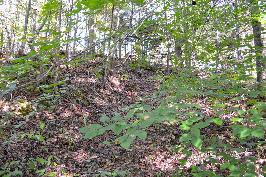 1902 Wears Valley Road Sevierville, TN 37862 - Photo 44 of 48 Gallery Image 44