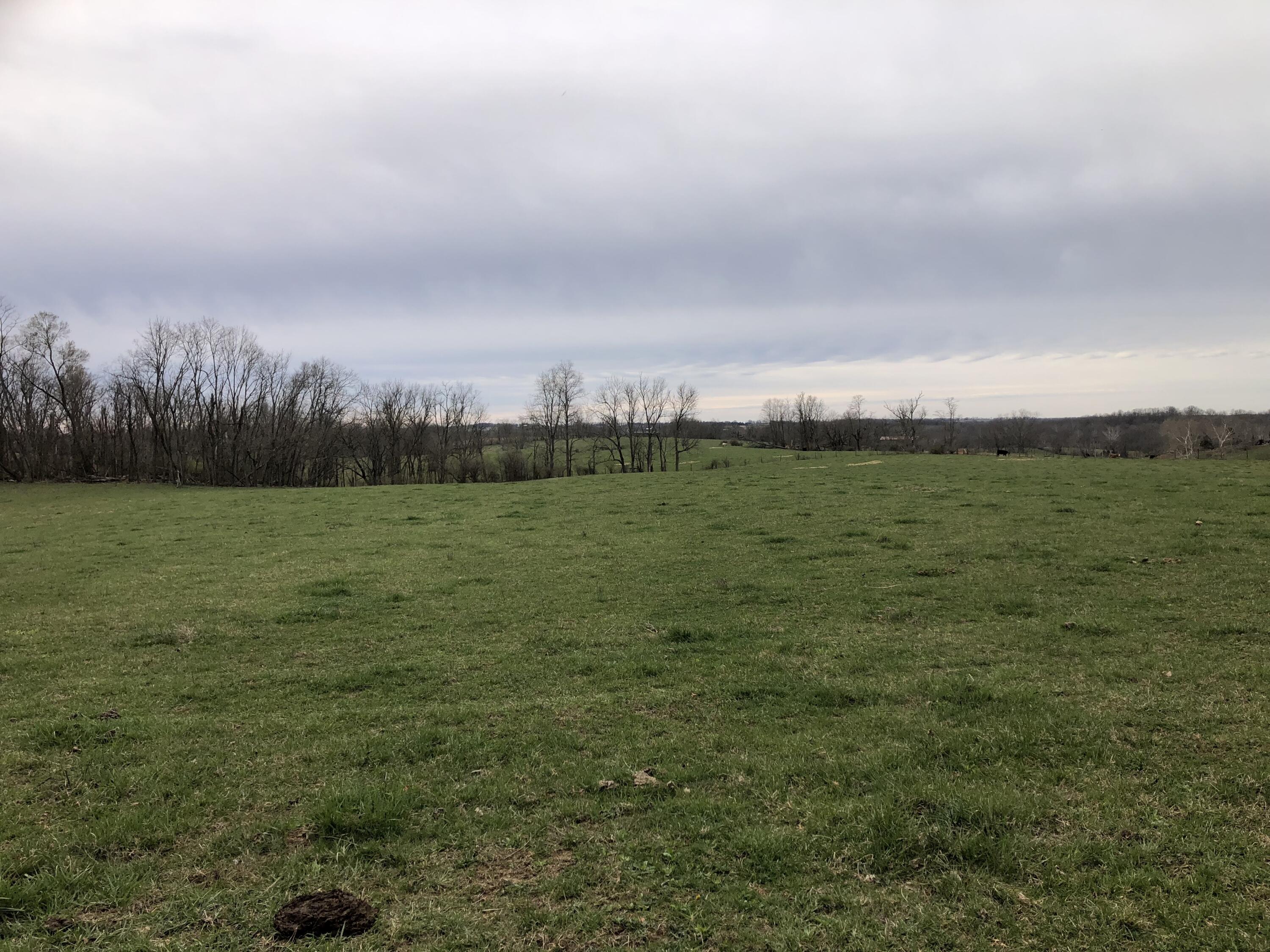 289 Lake Road Paris, KY 40361 - Photo 5 of 19 IMG_3343