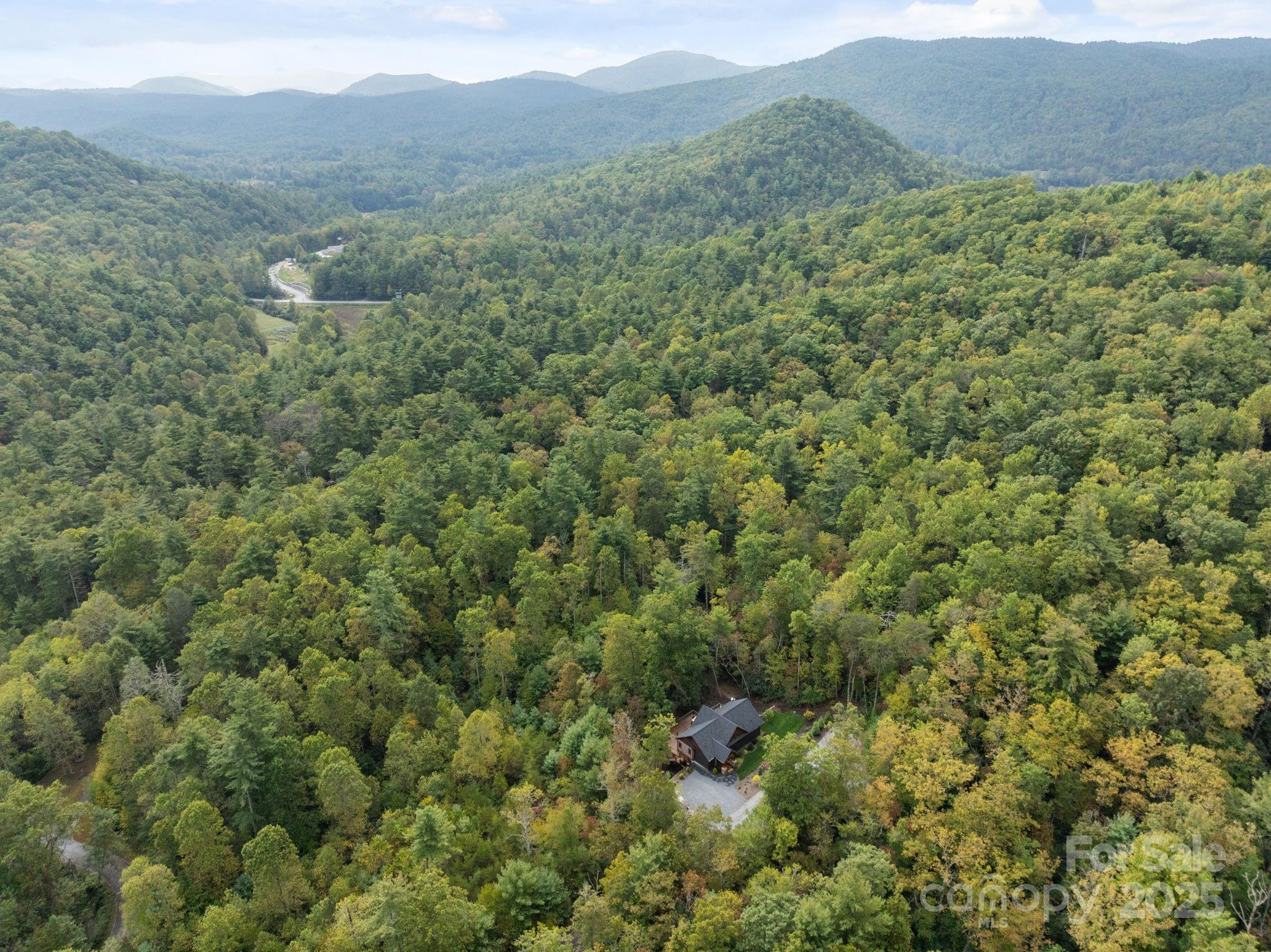 91 Boone Cove Road Zirconia, NC 28790 - Photo 40 of 48 a view of a forest with a mountain
