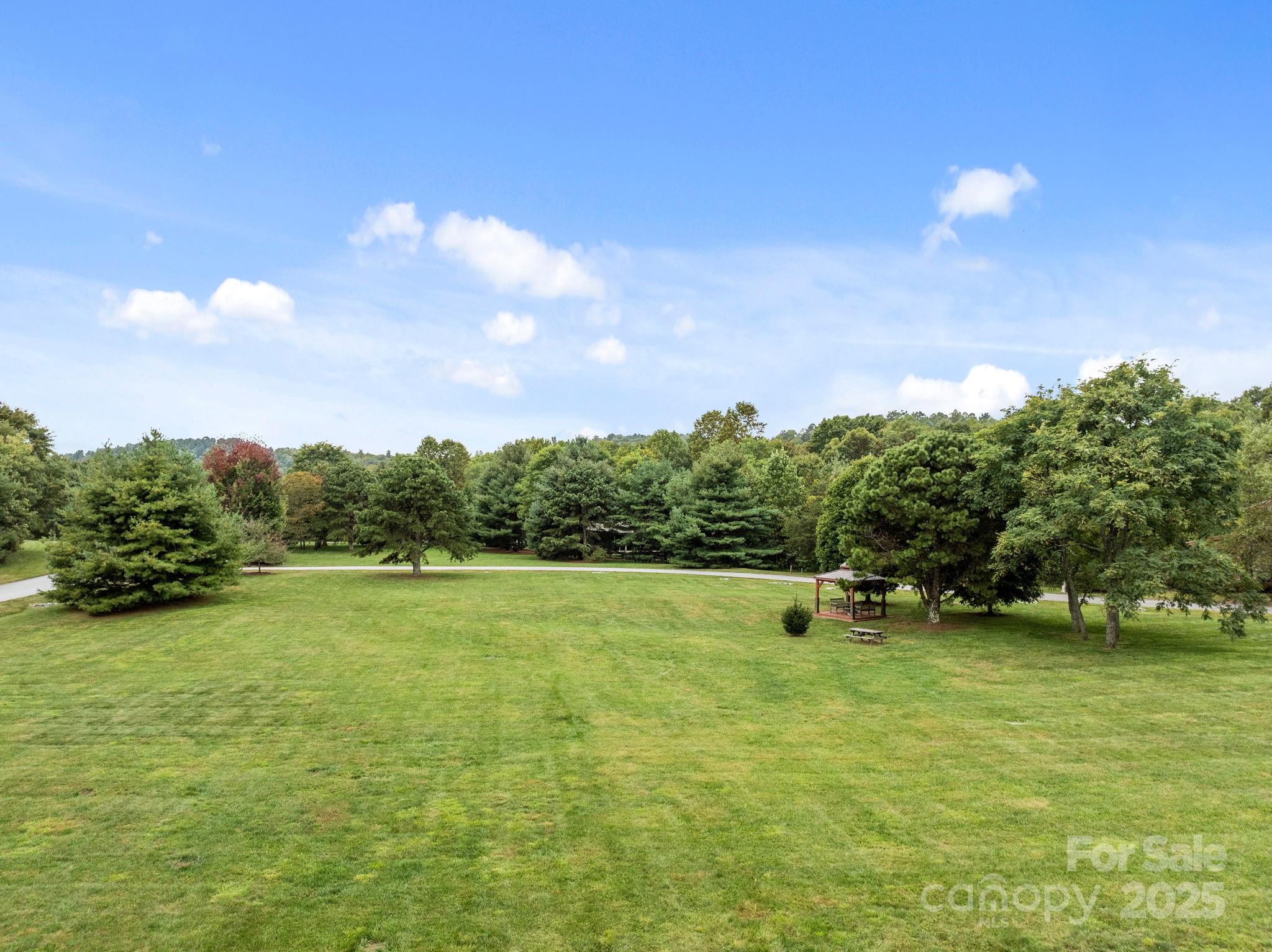 91 Boone Cove Road Zirconia, NC 28790 - Photo 41 of 48 a view of an outdoor space and a yard