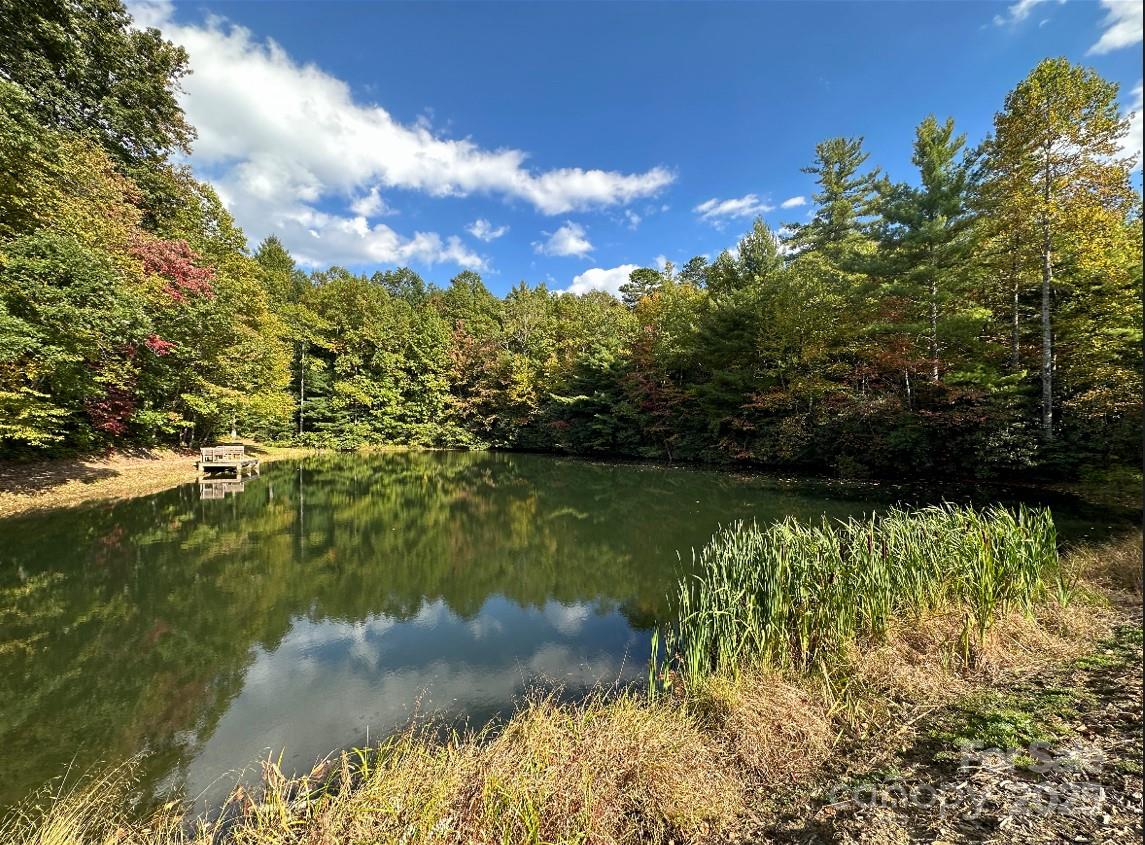 91 Boone Cove Road Zirconia, NC 28790 - Photo 42 of 48 a view of lake