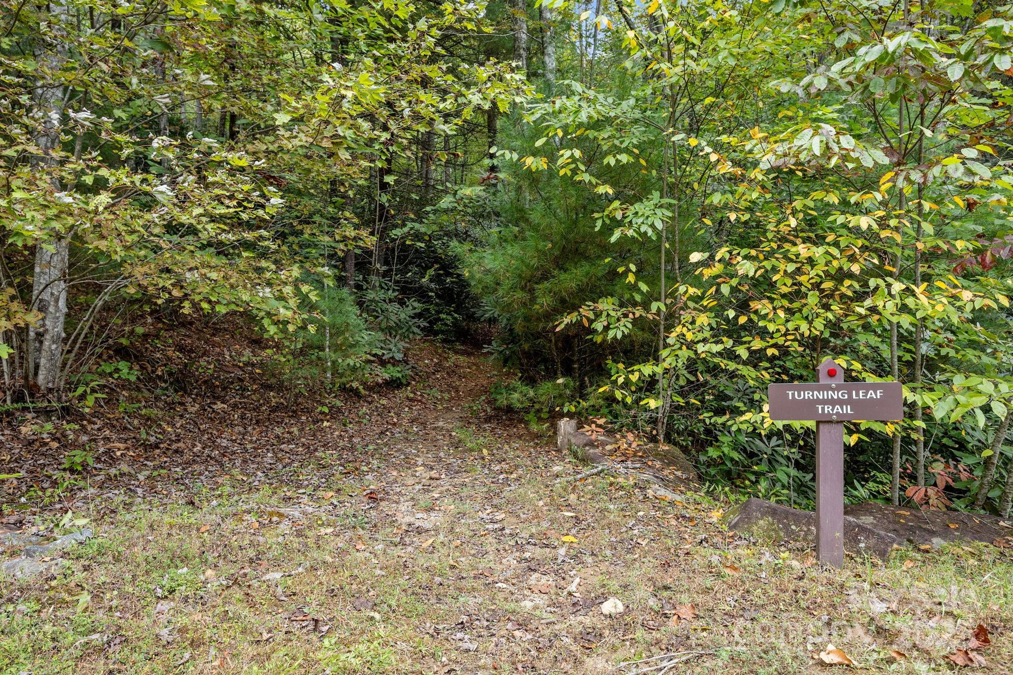 91 Boone Cove Road Zirconia, NC 28790 - Photo 43 of 48 a view of a backyard with plants
