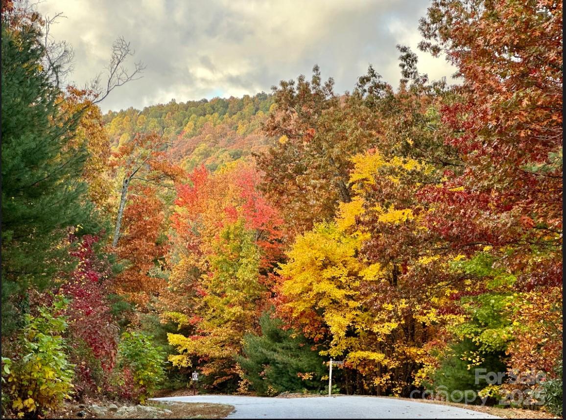 91 Boone Cove Road Zirconia, NC 28790 - Photo 47 of 48 a view of a city