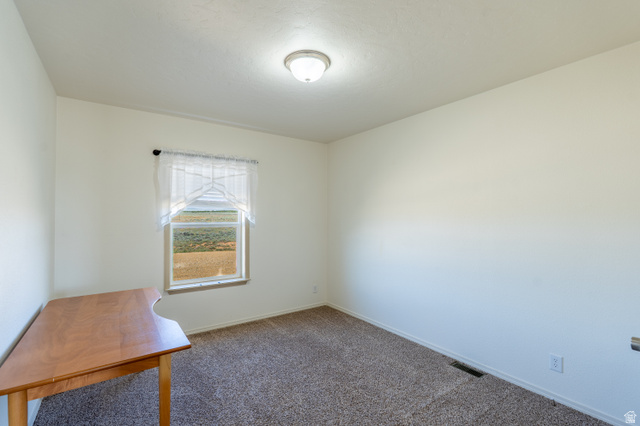 700 East Peter Springs Road Monticello, UT 84535 - Photo 28 of 57 Room featuring neutral wall paint, carpet flooring, a single window with a sheer curtain, a flush-mount ceiling light, and a visible exterior landscape