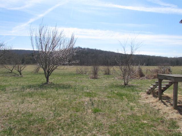 388 Shorter Road Lebanon, TN 37090 - Photo 11 of 20 Gallery Image 11