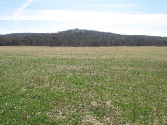388 Shorter Road Lebanon, TN 37090 - Photo 12 of 20 Gallery Image 12