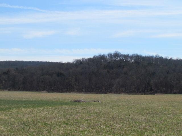 388 Shorter Road Lebanon, TN 37090 - Photo 15 of 20 Gallery Image 15