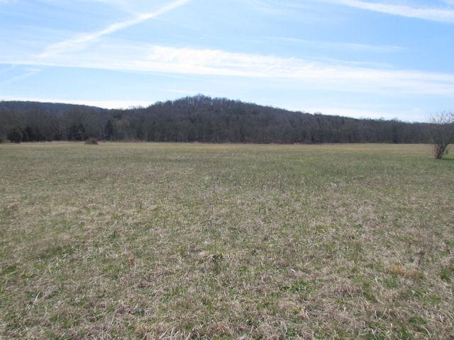 388 Shorter Road Lebanon, TN 37090 - Photo 9 of 20 Gallery Image 9