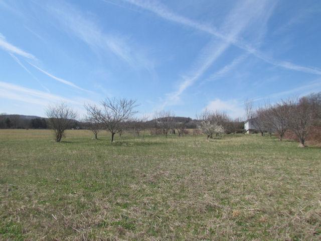388 Shorter Road Lebanon, TN 37090 - Photo 10 of 20 Gallery Image 10