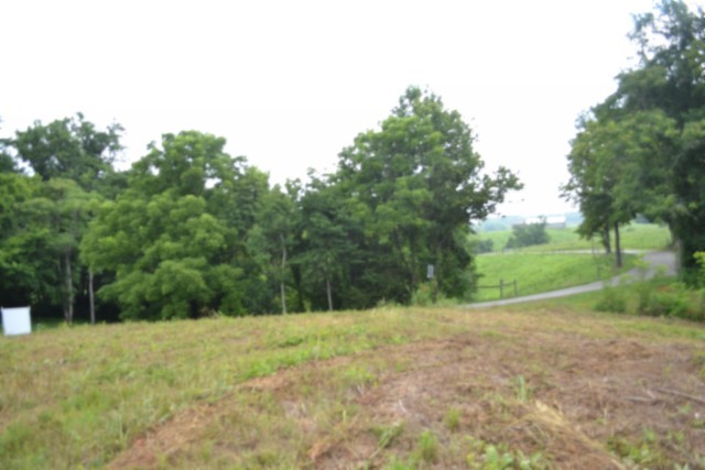 0 Pea Ridge Fire Tower Road Celina, TN 38551 - Photo 47 of 59