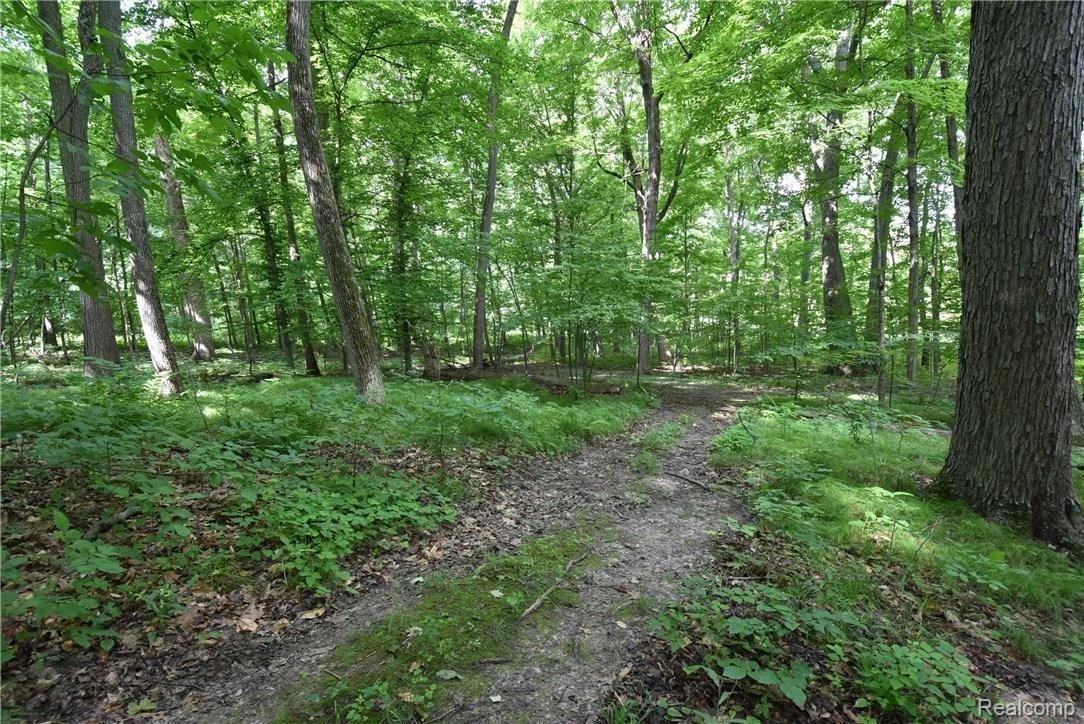 7196 Washburn Road Goodrich, MI 48438 - Photo 47 of 89 DSC_5868.JPG