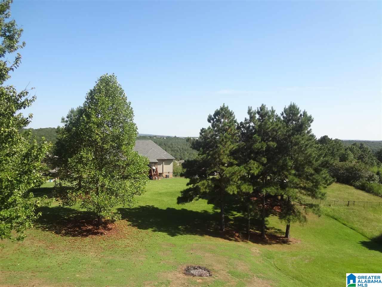 193 Woodland Ridge Road Odenville, AL 35120 - Photo 43 of 45