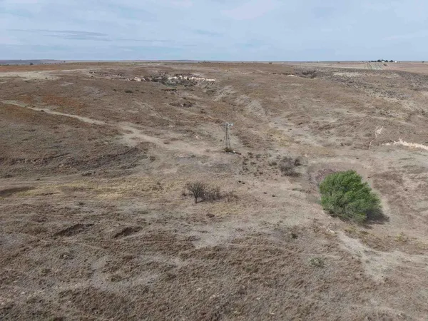 $3,070,400 | 152 Rock Ranch Highway, Mobeetie, TX 79061