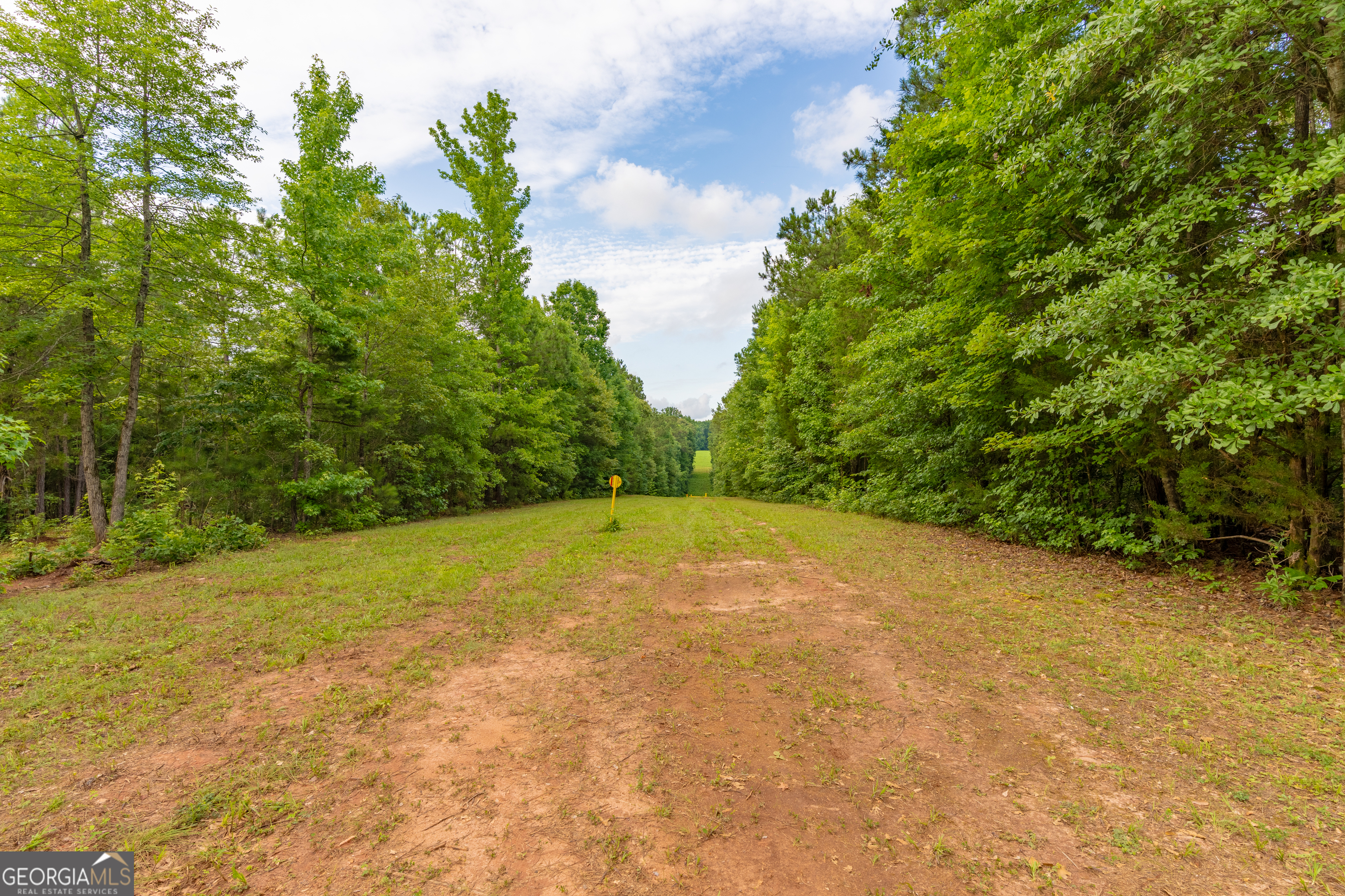 54 Davis Carter Road Monticello, GA 31064 - Photo 39 of 60