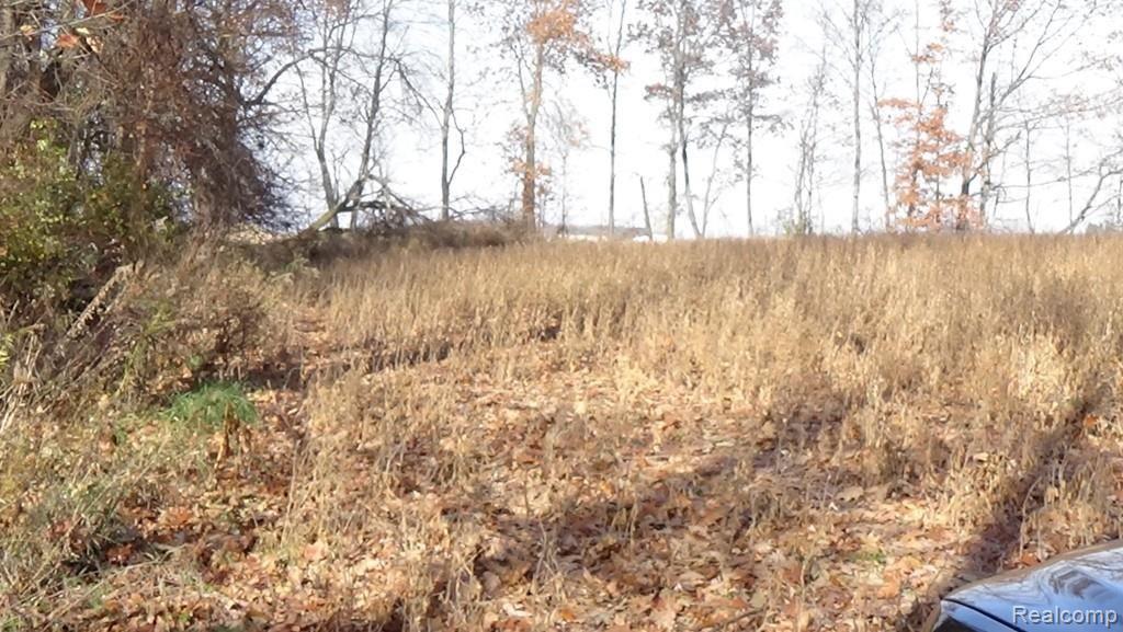 20-acres Meadowlawn Road Fowlerville, MI 48836 - Photo 6 of 9