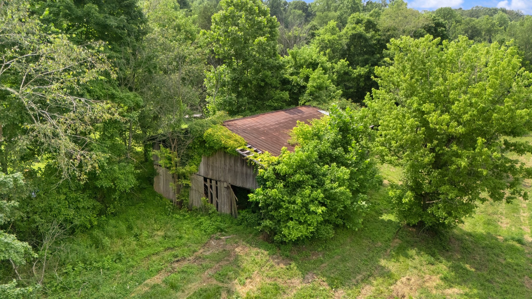 42 Oneal Road Adolphus, KY 42120 - Photo 15 of 28 a view of a house in a forest