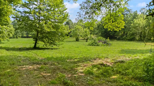 a big yard with lots of green space and deers