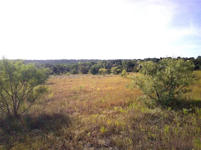 a view of a field with trees in the background