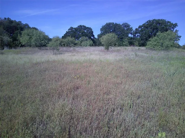a view of an outdoor space with trees all around