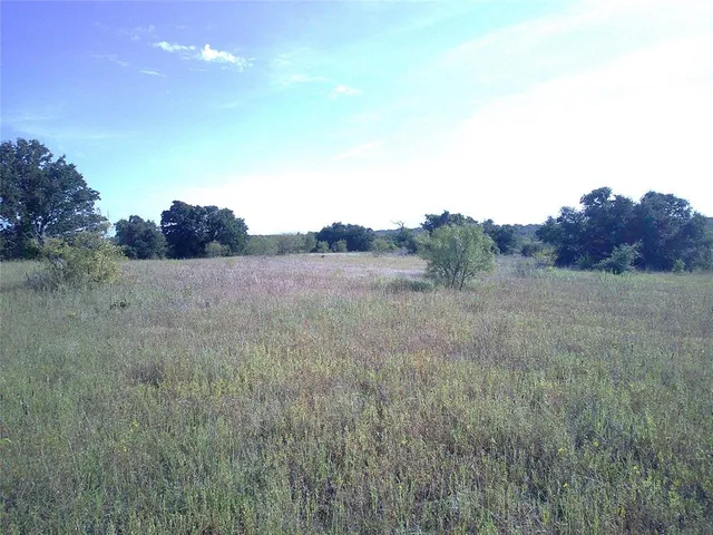 a view of a dry grass field