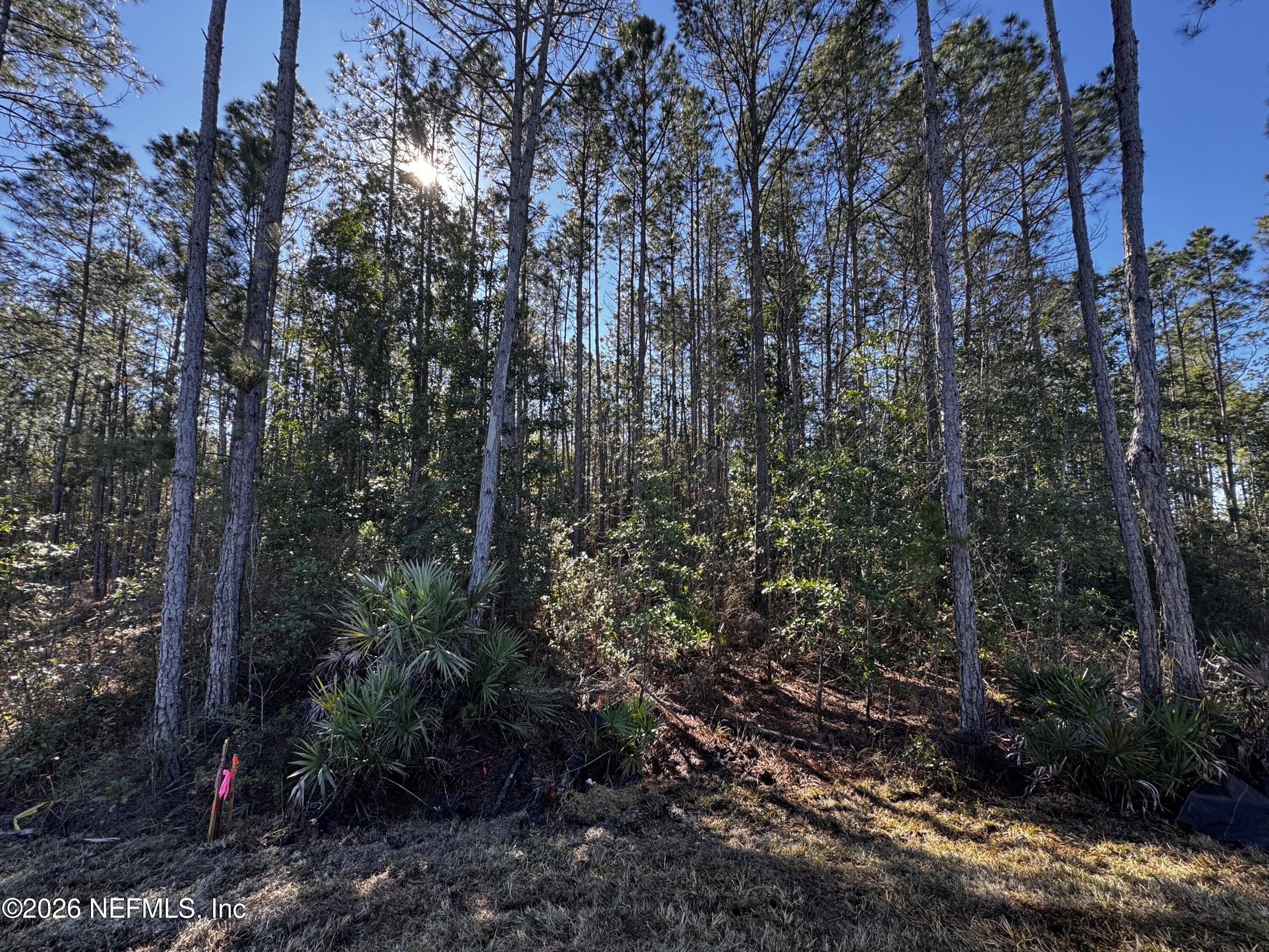12402 Great Eagle Road Jacksonville, FL 32219 - Photo 28 of 66 backyard