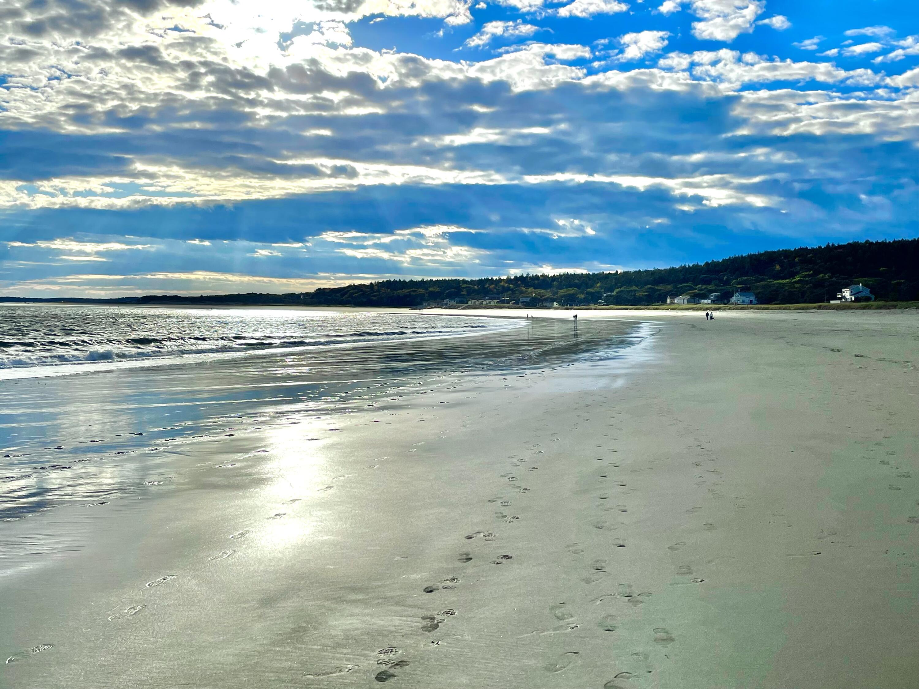 550 Main Road Phippsburg, ME 04562 - Photo 59 of 67 Popham Beach