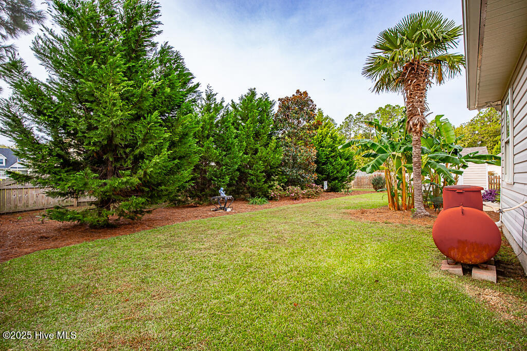 604 Fox Ridge Court Havelock, NC 28532 - Photo 20 of 24 View from Left Side Fence