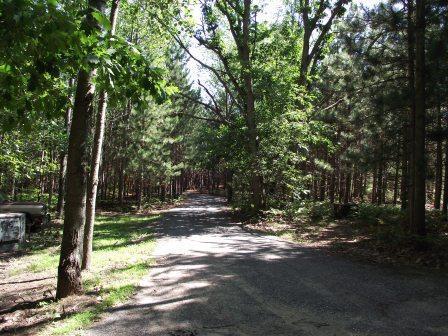 5214 East Hansen Road Custer, MI 49405 - Photo 23 of 24 Additional Photo