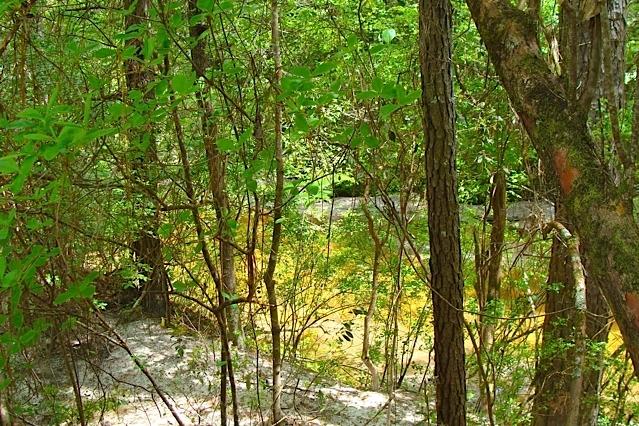 749 Davidson Road DeFuniak Springs, FL 32433 - Photo 11 of 46 Turkey Creek