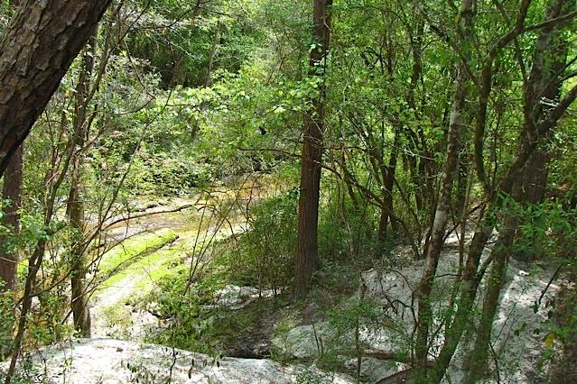 749 Davidson Road DeFuniak Springs, FL 32433 - Photo 12 of 46 Turkey Creek --