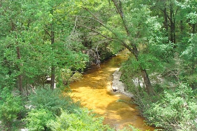 749 Davidson Road DeFuniak Springs, FL 32433 - Photo 45 of 46 Beautiful Turkey Creek On Property