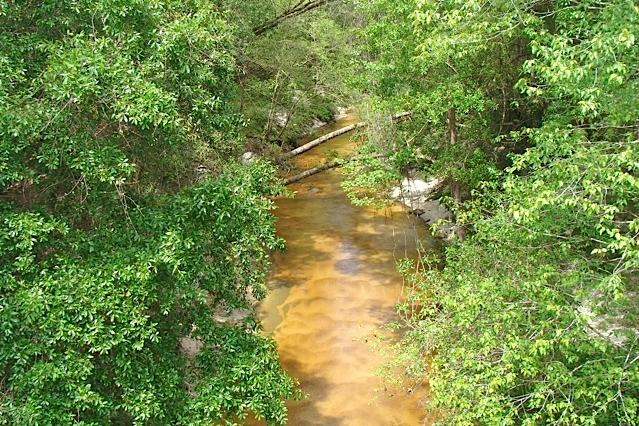 749 Davidson Road DeFuniak Springs, FL 32433 - Photo 46 of 46 Turkey Creek Runs Thru Property