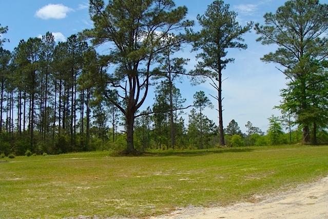 749 Davidson Road DeFuniak Springs, FL 32433 - Photo 6 of 46 Front Yard