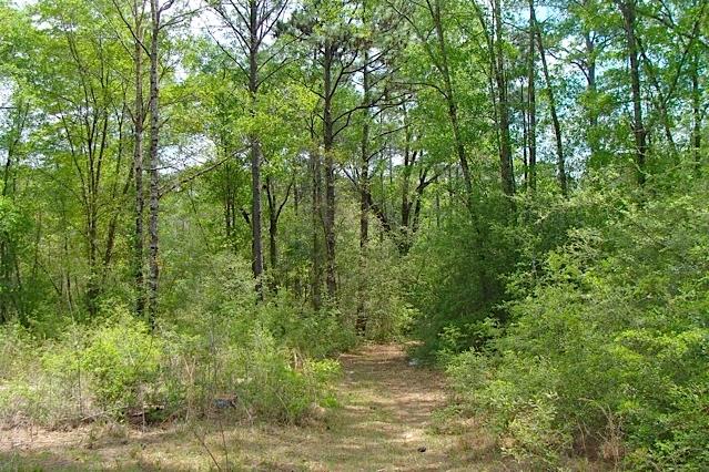 749 Davidson Road DeFuniak Springs, FL 32433 - Photo 8 of 46 Path to Creek