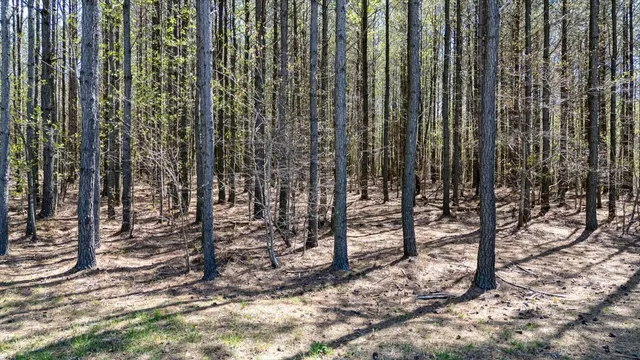 $106,500 | 4670 Raulston Falls Drive, Jasper, TN 37347