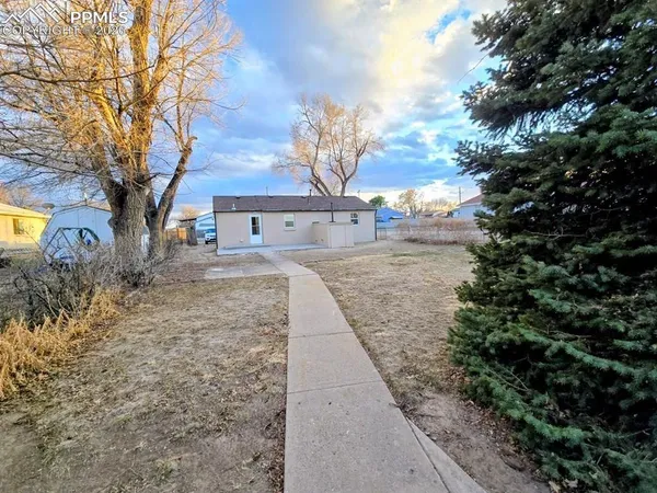 a view of a yard with a tree