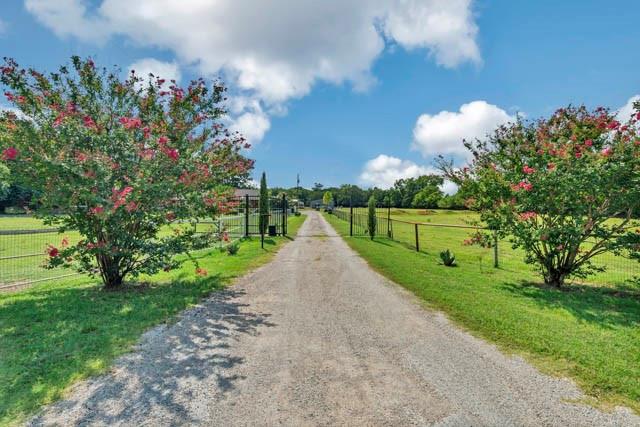 a view of a park with large trees