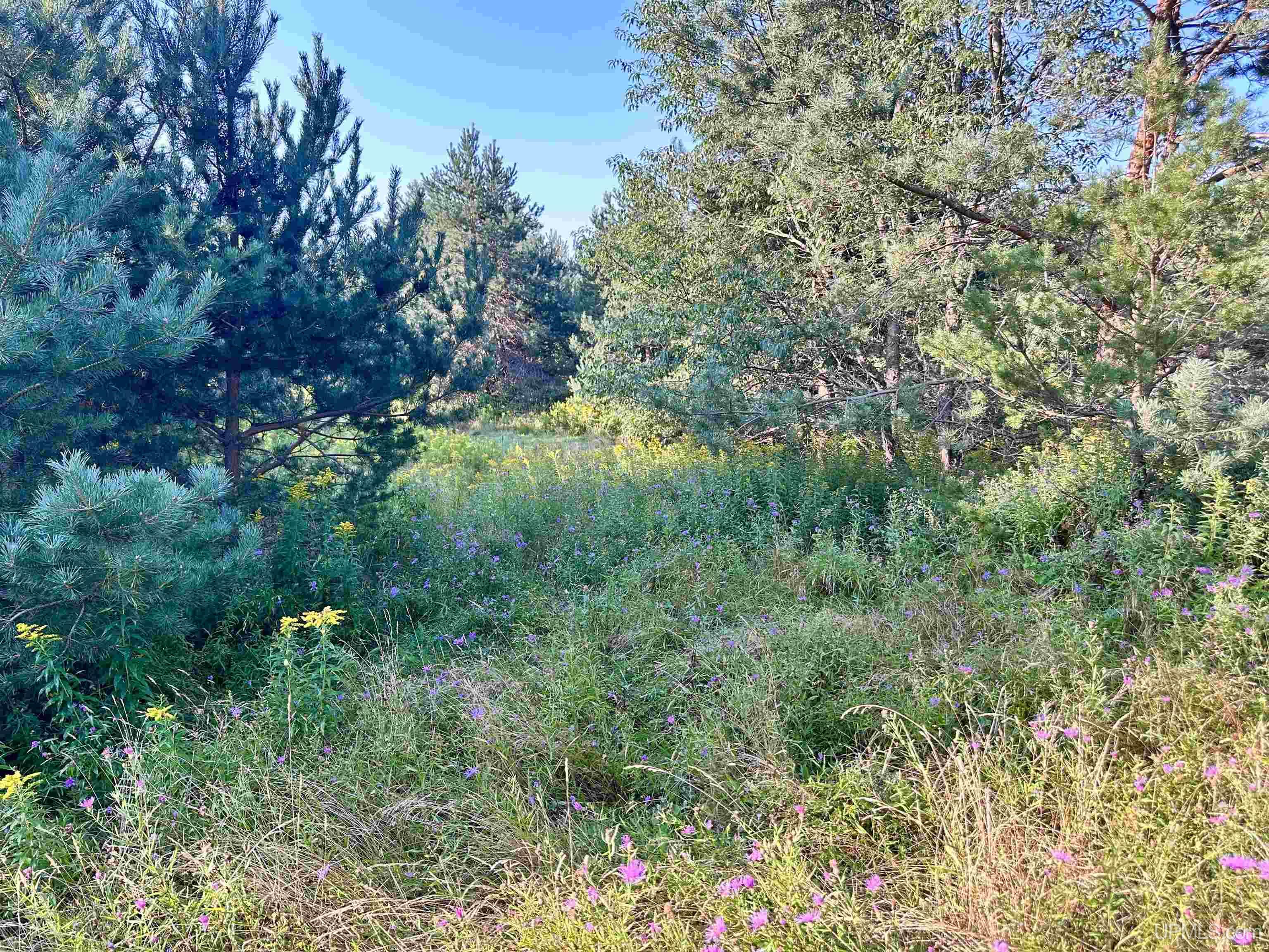 Tbd Crestview Road Ironwood, MI 49938 - Photo 29 of 49