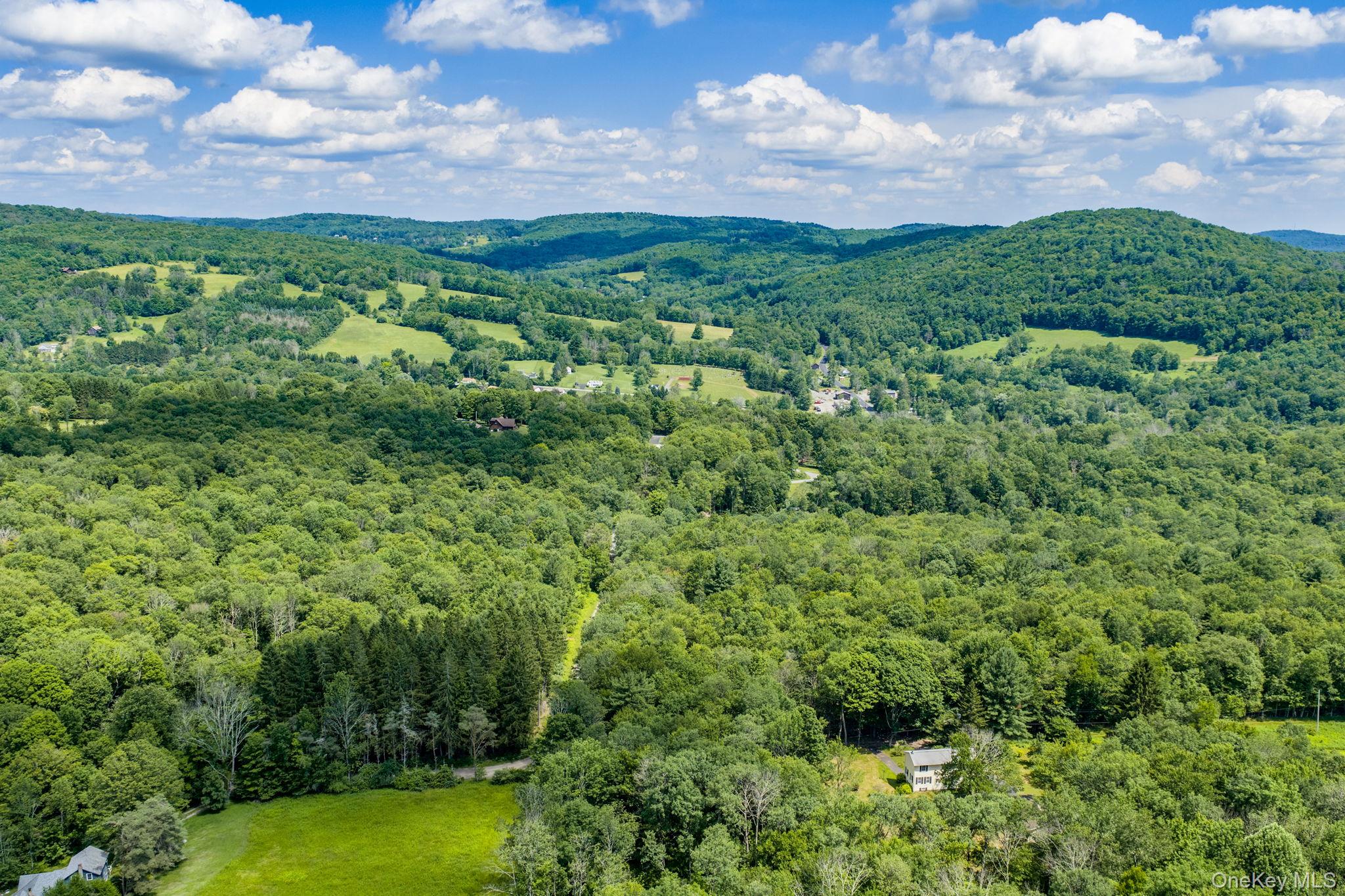 10 Hoffman Road Hankins, NY 12741 - Photo 43 of 46