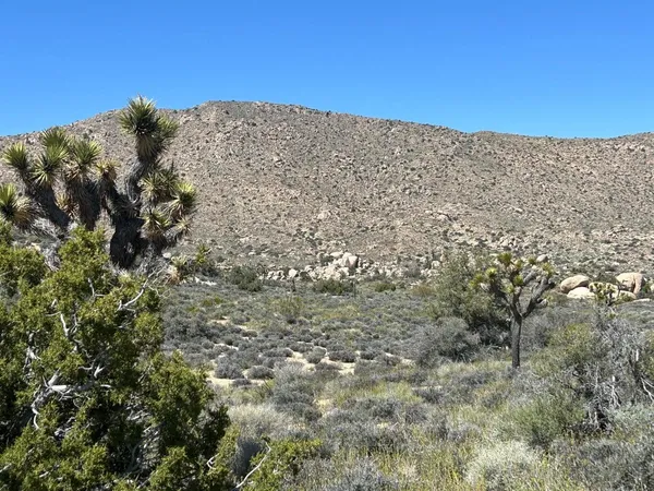 $75,000 | 101 Hondo Street, Landers, CA 92285