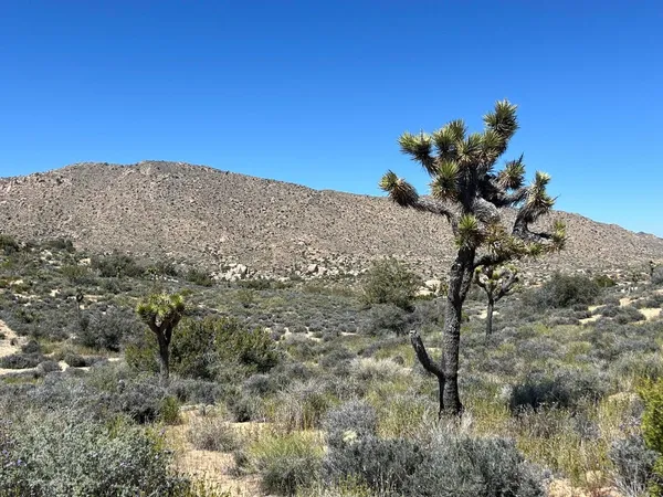 $75,000 | 101 Hondo Street, Landers, CA 92285