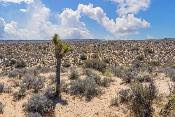 $75,000 | 101 Hondo Street, Landers, CA 92285