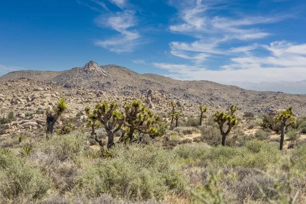 $75,000 | 101 Hondo Street, Landers, CA 92285