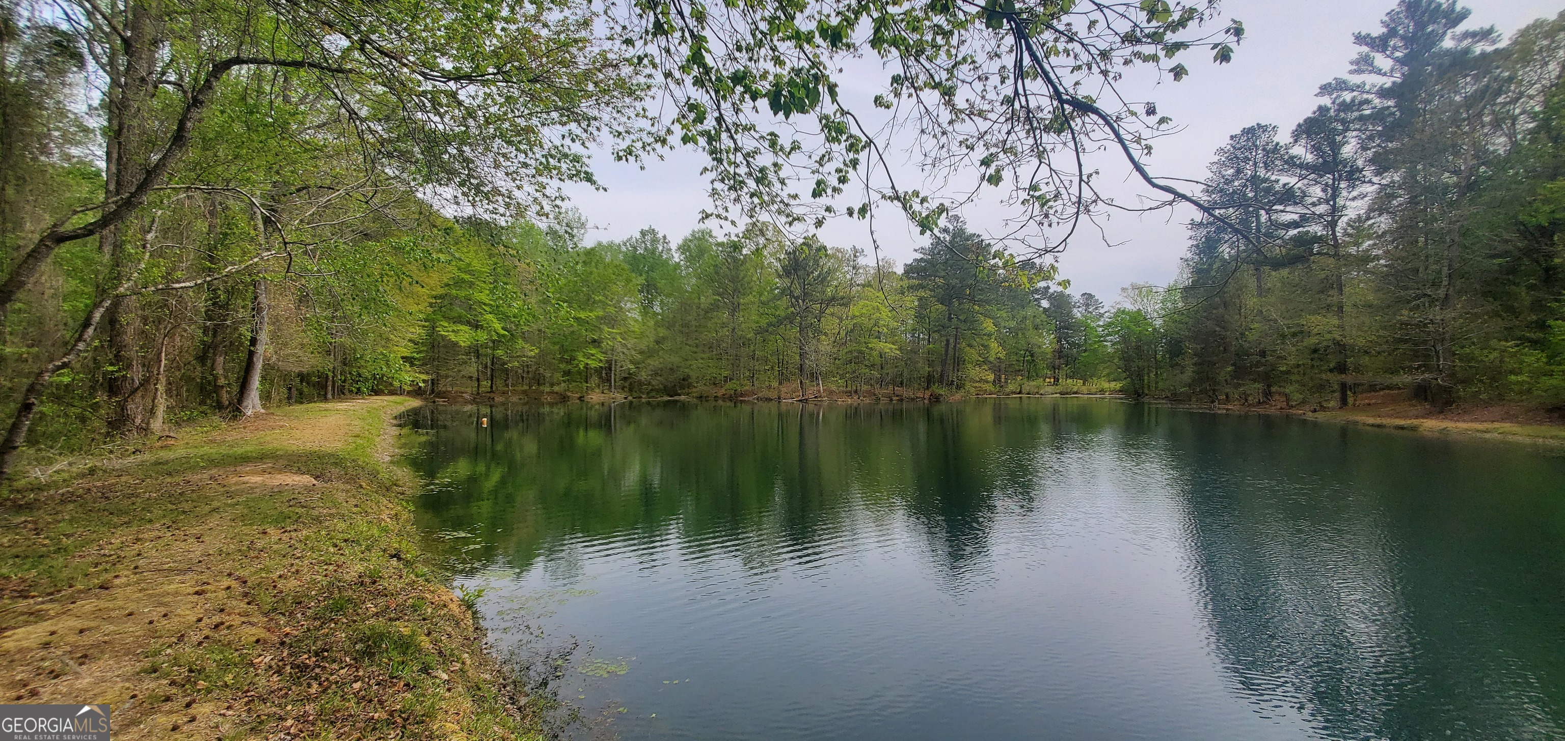 384 Enon Grove Road Franklin, GA 30217 - Photo 7 of 118