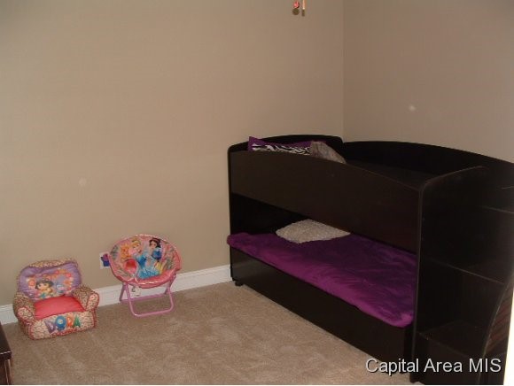 504 Karen Rose Drive Rochester, IL 62563 - Photo 14 of 24 Gallery Image 14