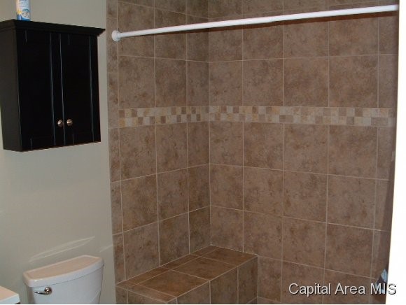 504 Karen Rose Drive Rochester, IL 62563 - Photo 17 of 24 Gallery Image 17