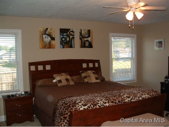 504 Karen Rose Drive Rochester, IL 62563 - Photo 10 of 24 Gallery Image 10