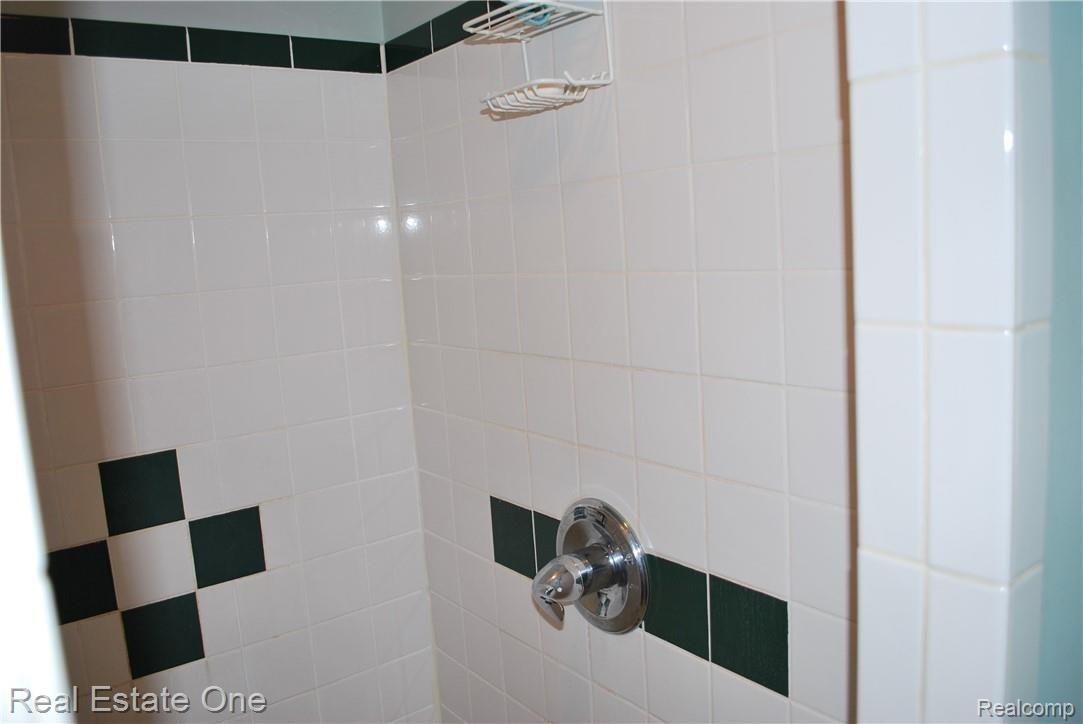 216 North Gulley Road Dearborn, MI 48128 - Photo 53 of 64 Partial View of Shower in Basement